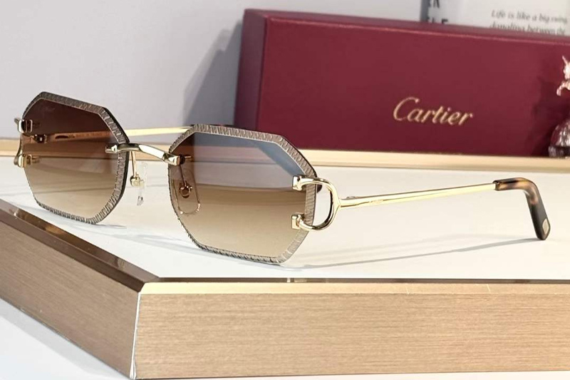 CT0092O Sunglasses Gold Gradient Brown