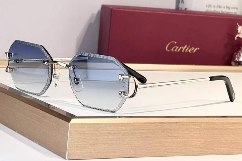 CT0092O Sunglasses Silver Gradient Blue