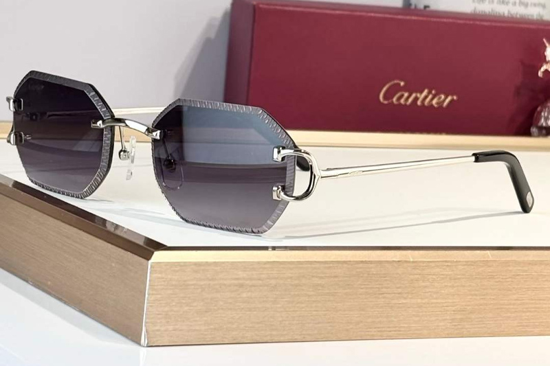 CT0092O Sunglasses Silver Gradient Gray