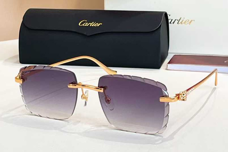 CT01588O Sunglasses Gold Gradient Gray