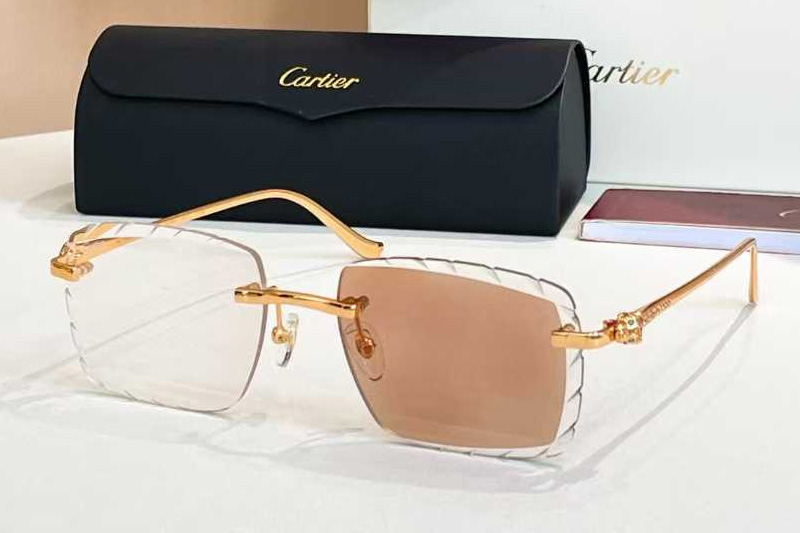 CT01588O Sunglasses Gold Photochromic Brown