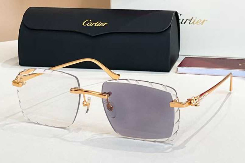 CT01588O Sunglasses Gold Photochromic Gray