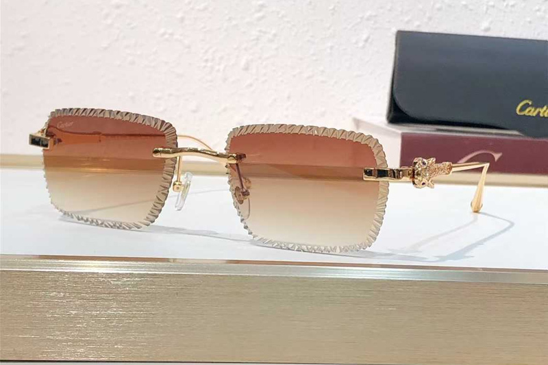 CT01841O Sunglasses Gold Gradient Brown