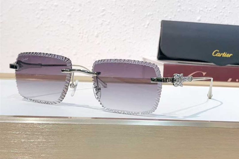 CT01841O Sunglasses Silver Gradient Gray