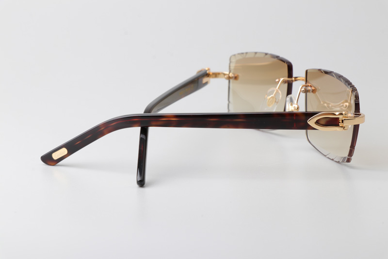 CT0243 Sunglasses Gold Gradient Brown