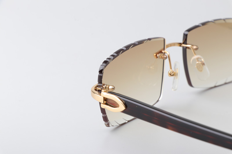 CT0243 Sunglasses Gold Gradient Brown