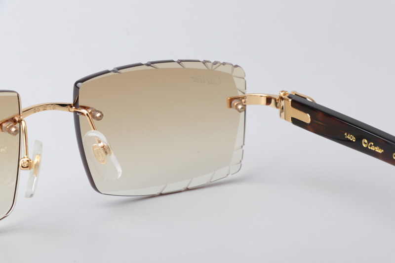 CT0243 Sunglasses Gold Gradient Brown