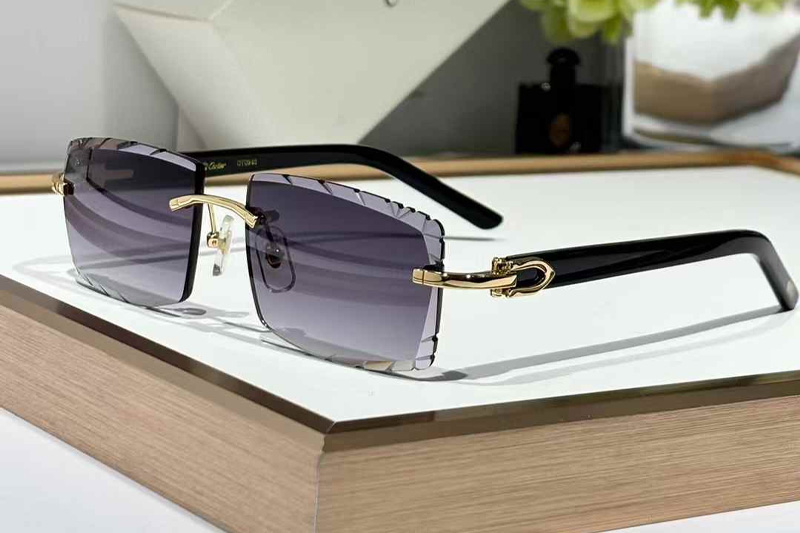 CT0243 Sunglasses Gold Gradient Gray