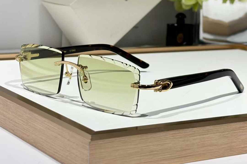CT0243 Sunglasses Gold Gradient Green