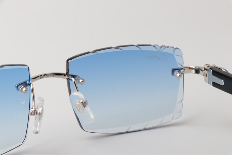 CT0243 Sunglasses Silver Gradient Blue