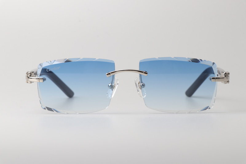 CT0243 Sunglasses Silver Gradient Blue
