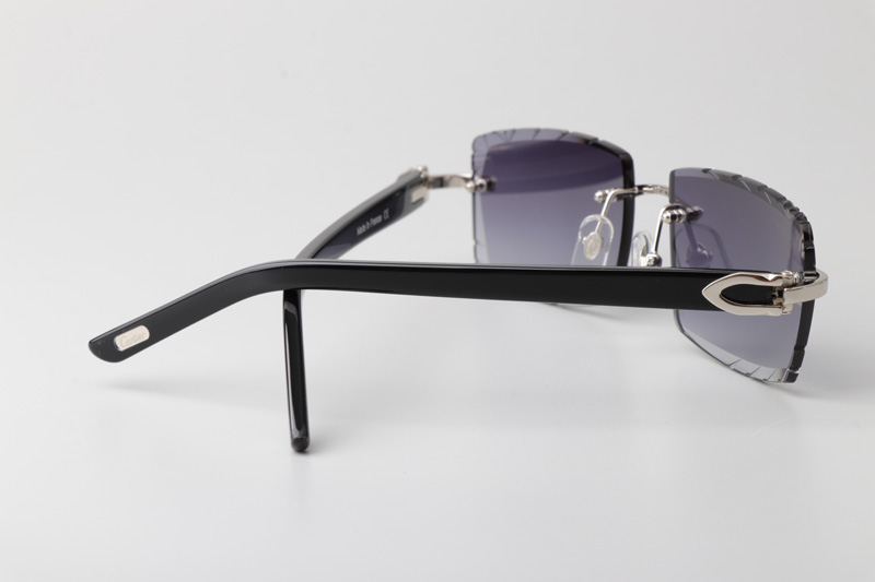 CT0243 Sunglasses Silver Gradient Gray