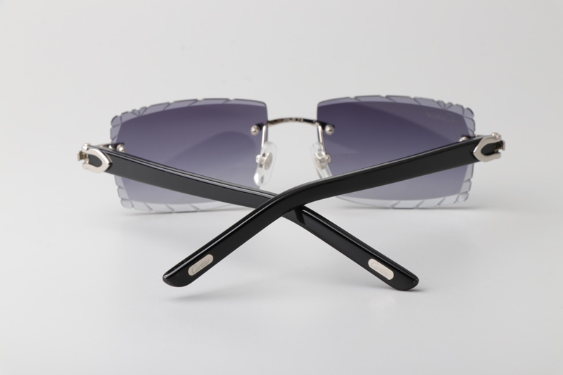 CT0243 Sunglasses Silver Gradient Gray