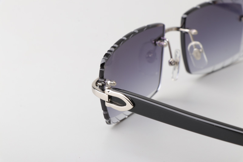 CT0243 Sunglasses Silver Gradient Gray