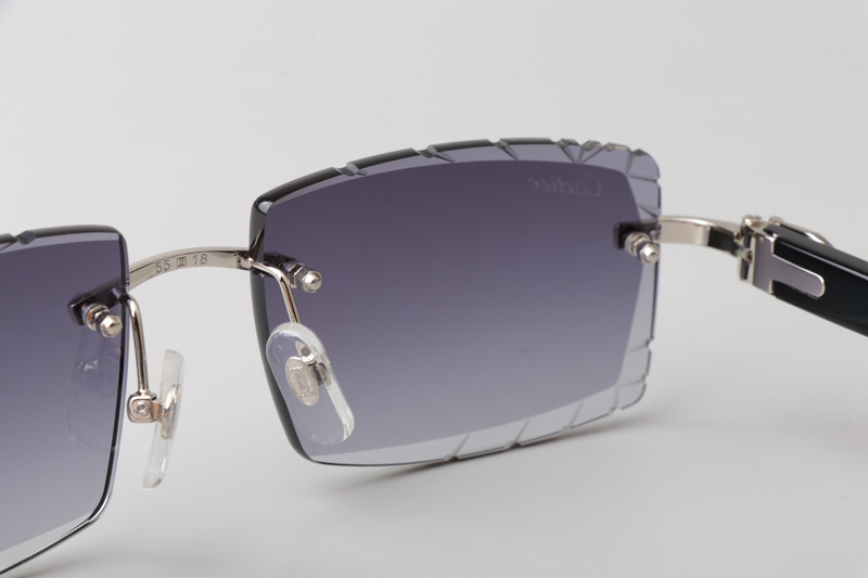 CT0243 Sunglasses Silver Gradient Gray