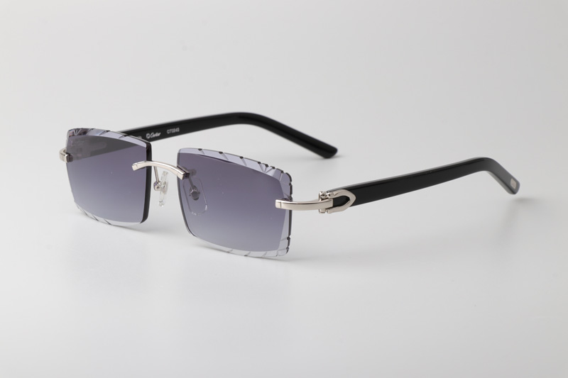 CT0243 Sunglasses Silver Gradient Gray