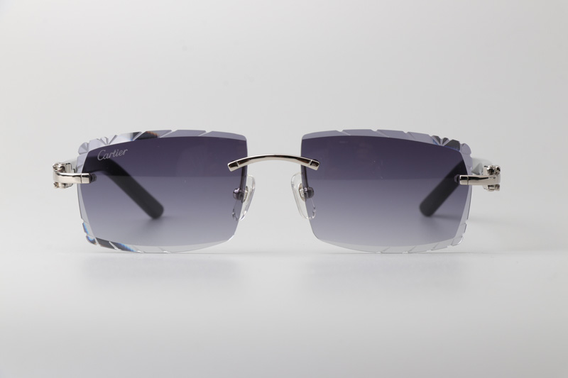 CT0243 Sunglasses Silver Gradient Gray