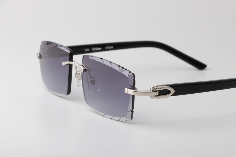 CT0243 Sunglasses Silver Gradient Gray