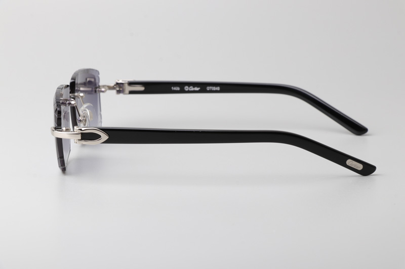 CT0243 Sunglasses Silver Gradient Gray