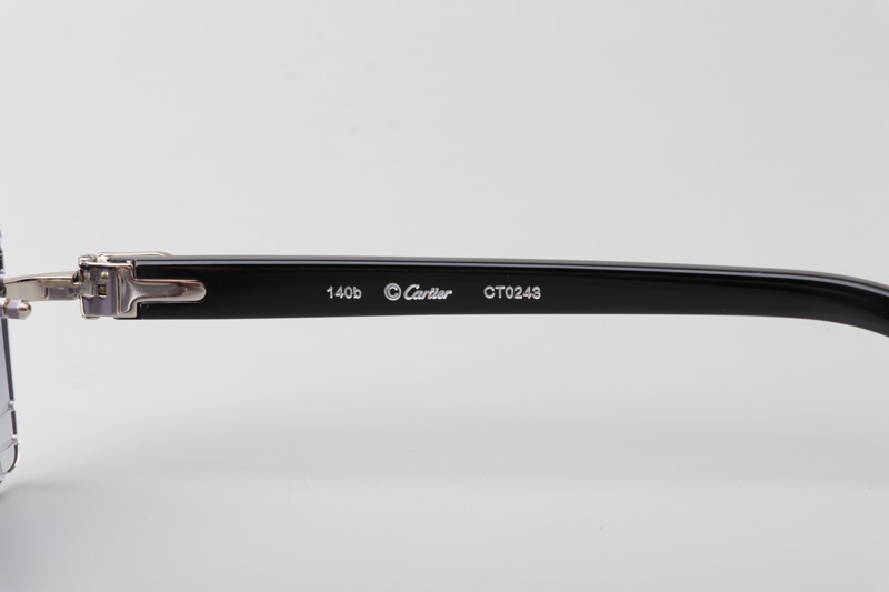 CT0243 Sunglasses Silver Gradient Gray