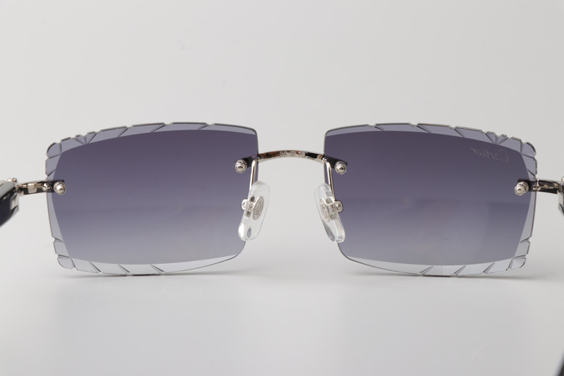 CT0243 Sunglasses Silver Gradient Gray