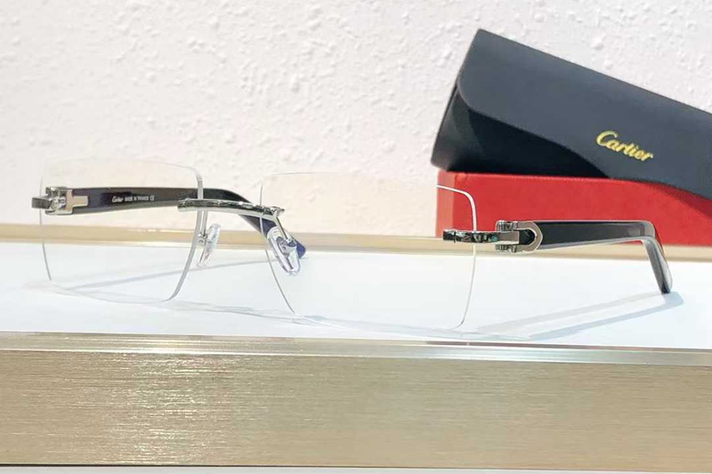 CT0273S Eyeglasses Silver