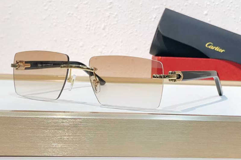 CT0273S Sunglasses Gold Gradient Brown