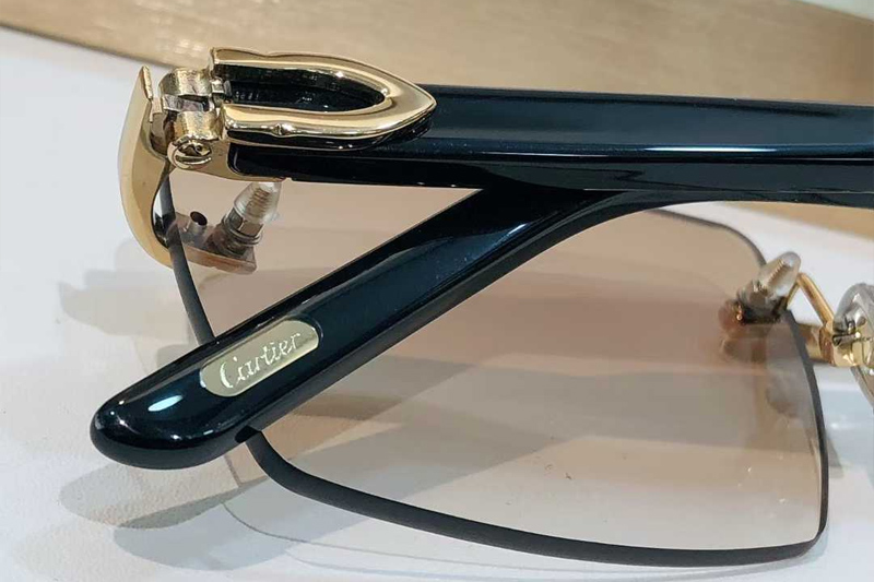 CT0273S Sunglasses Gold Gradient Brown