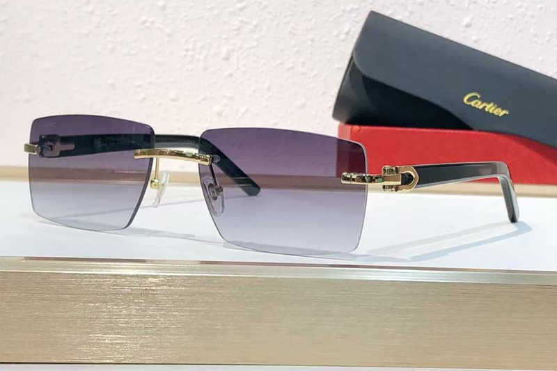 CT0273S Sunglasses Gold Gradient Gray