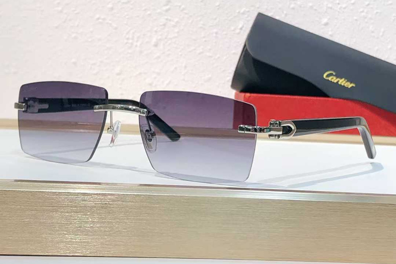 CT0273S Sunglasses Silver Gradient Gray