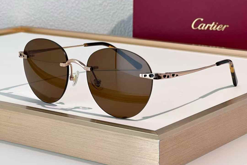 CT0309S Sunglasses Rose Gold Brown