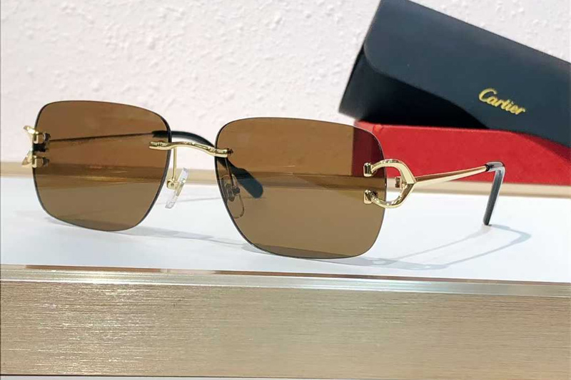 CT0330S Sunglasses Gold Brown