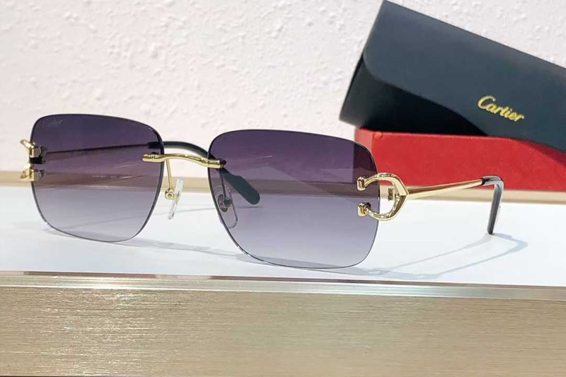 CT0330S Sunglasses Gold Gradient Blue