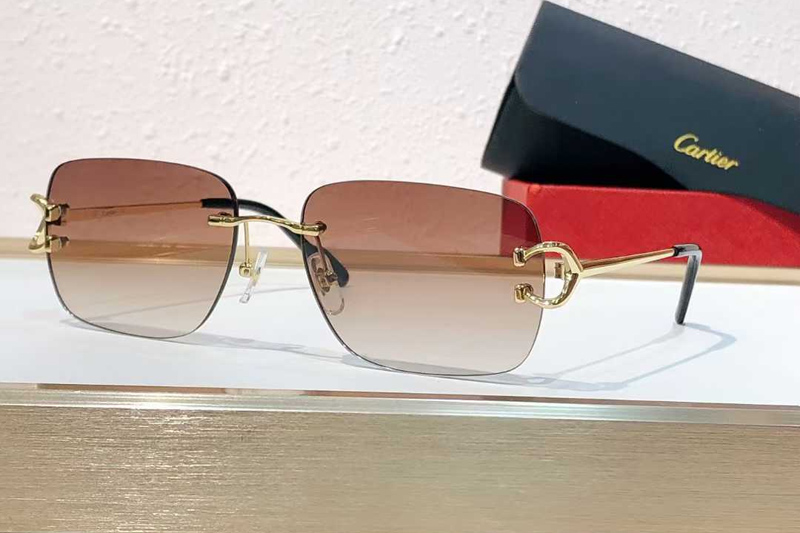 CT0330S Sunglasses Gold Gradient Brown