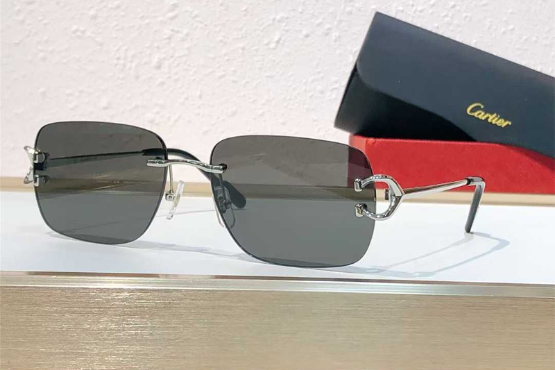 CT0330S Sunglasses Silver Gray
