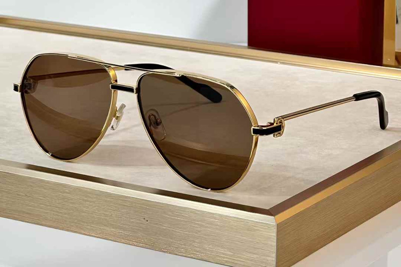 CT0334S Sunglasses Gold Brown