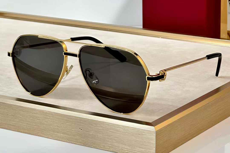 CT0334S Sunglasses Gold Gray