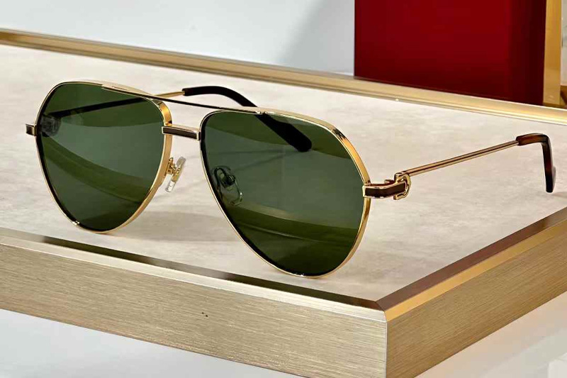 CT0334S Sunglasses Gold Green
