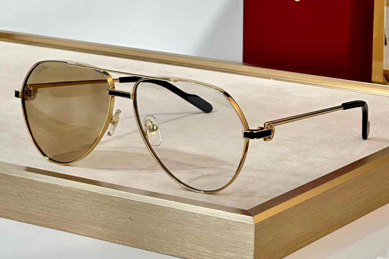 CT0334S Sunglasses Gold Photochromic Brown