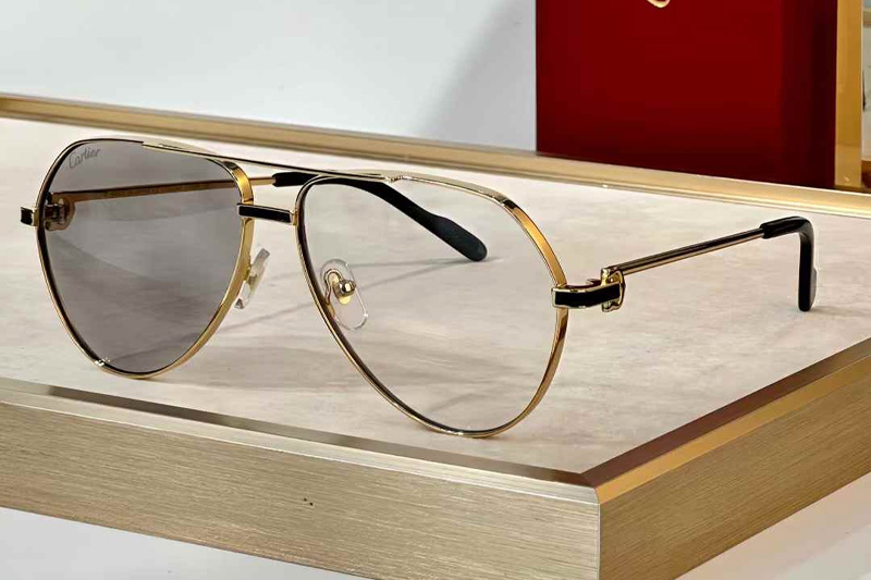 CT0334S Sunglasses Gold Photochromic Gray