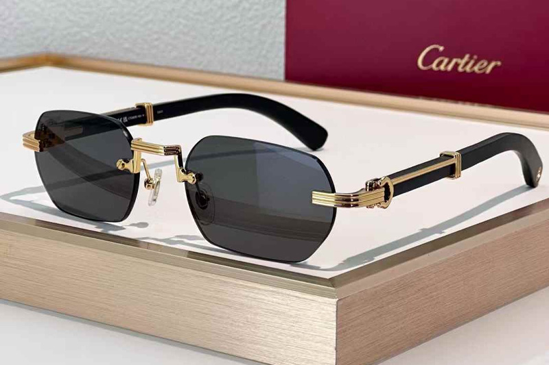 CT0362S Sunglasses Gold Black Gray