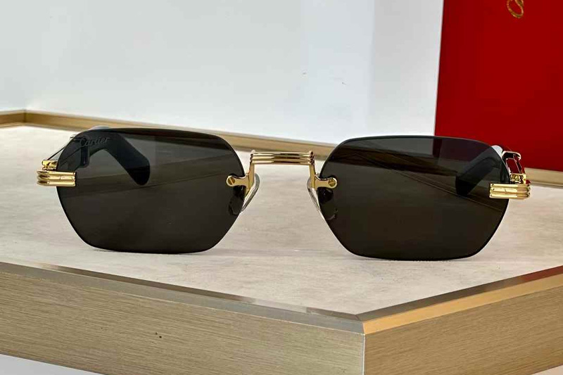 CT0362S Sunglasses Gold Black Gray