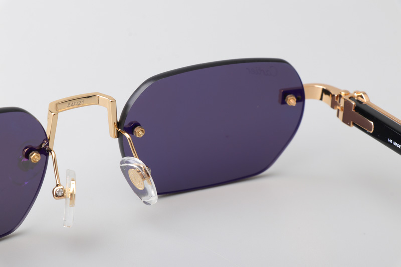 CT0362S Sunglasses Gold Gray Gray