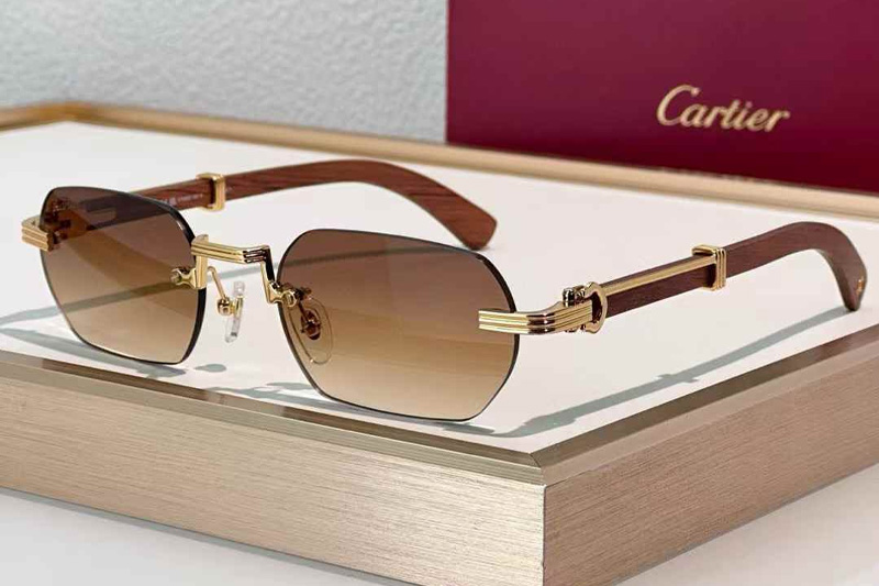 CT0362S Sunglasses Gold Red Gradient Brown