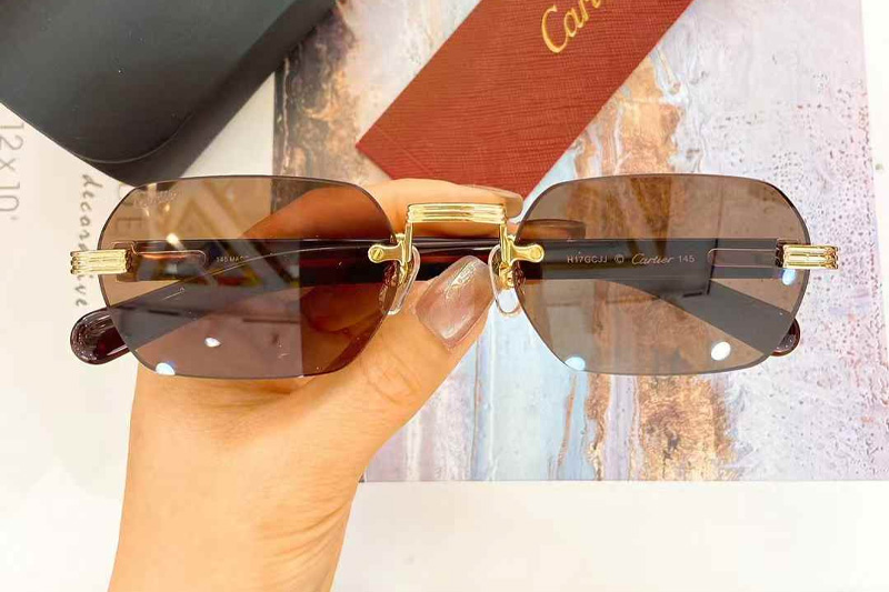 CT0362S Sunglasses Gold Red Gradient Brown