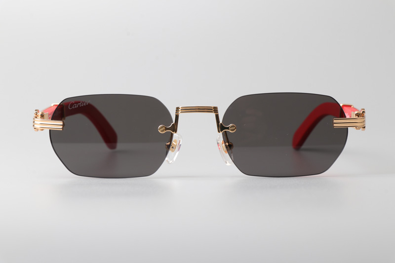 CT0362S Sunglasses Gold Red Gray