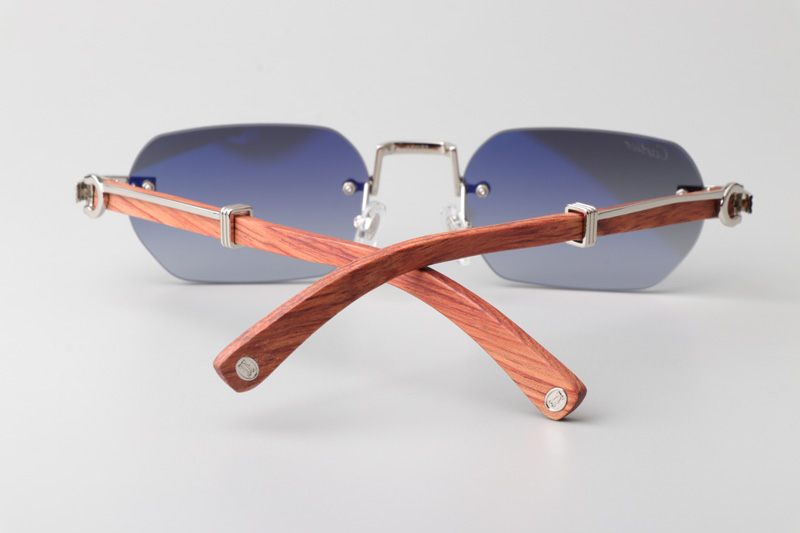 CT0362S Sunglasses Silver Red Gradient Gray