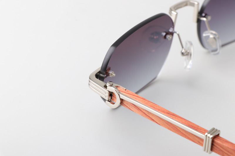 CT0362S Sunglasses Silver Red Gradient Gray