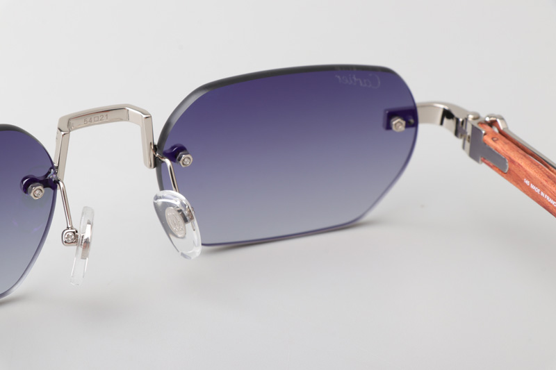 CT0362S Sunglasses Silver Red Gradient Gray