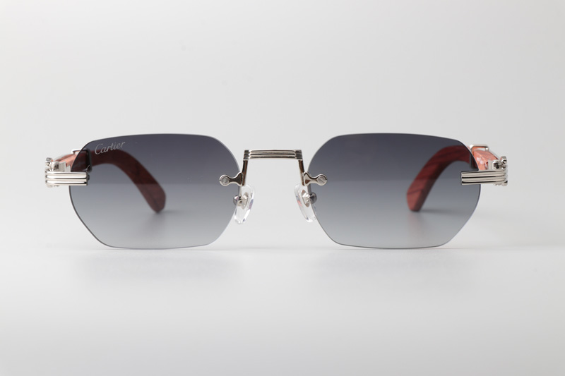 CT0362S Sunglasses Silver Red Gradient Gray
